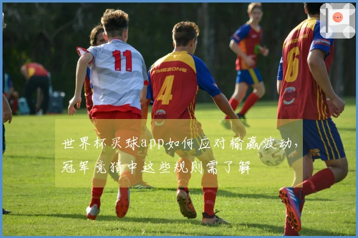 世界杯买球app如何应对输赢波动，冠军竞猜中这些规则需了解