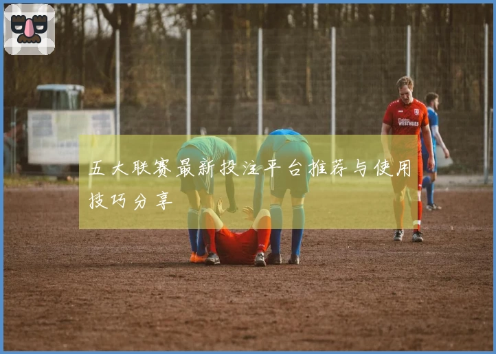 五大联赛最新投注平台推荐与使用技巧分享