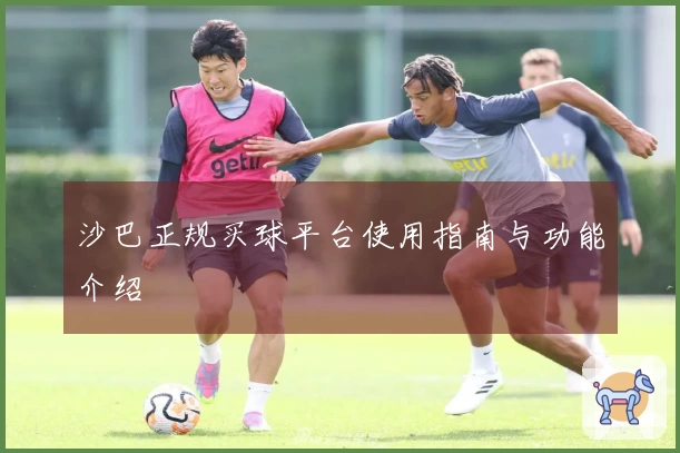 沙巴正规买球平台使用指南与功能介绍