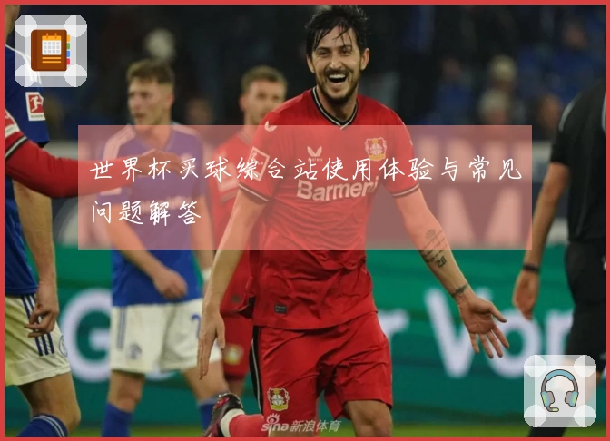 世界杯买球综合站使用体验与常见问题解答