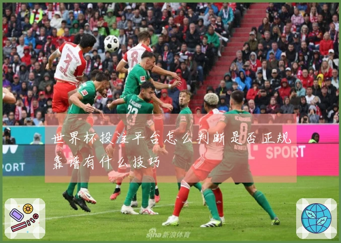 世界杯投注平台怎么判断是否正规靠谱有什么技巧