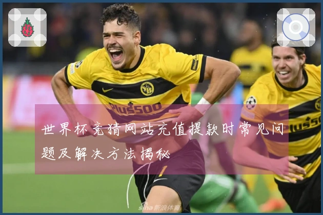 世界杯竞猜网站充值提款时常见问题及解决方法揭秘