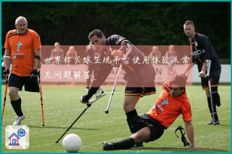 世界杯买球正规平台使用体验及常见问题解答