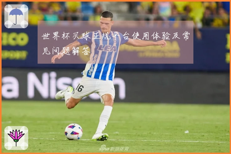 世界杯买球正规平台使用体验及常见问题解答