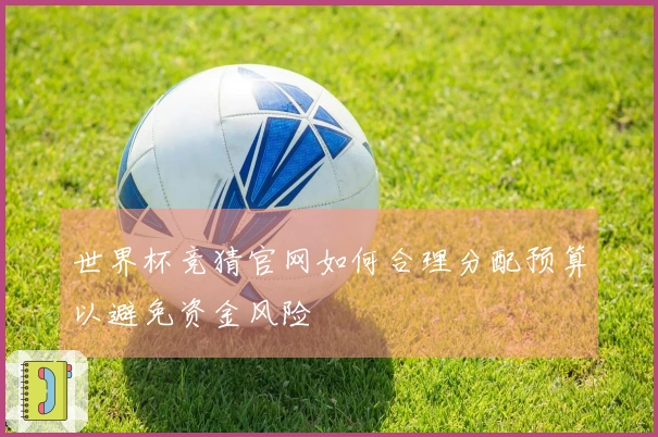世界杯竞猜官网如何合理分配预算以避免资金风险