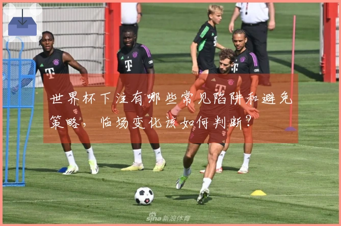 世界杯下注有哪些常见陷阱和避免策略，临场变化该如何判断？
