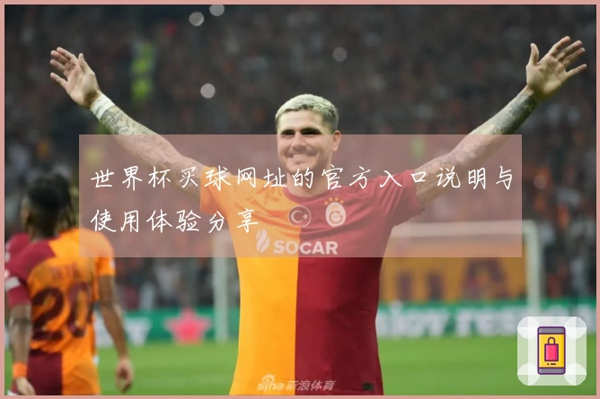 世界杯买球网址的官方入口说明与使用体验分享