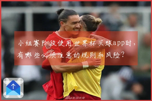 小组赛阶段使用世界杯买球app时，有哪些必须注意的规则和风险？