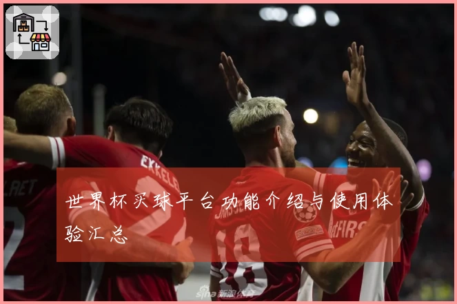 世界杯买球平台功能介绍与使用体验汇总