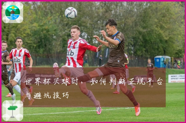 世界杯买球时，如何判断正规平台与避坑技巧