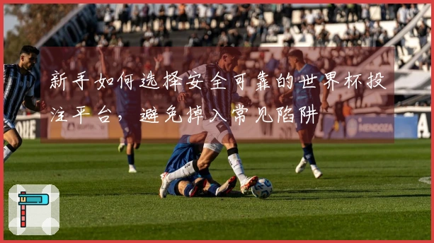 新手如何选择安全可靠的世界杯投注平台，避免掉入常见陷阱