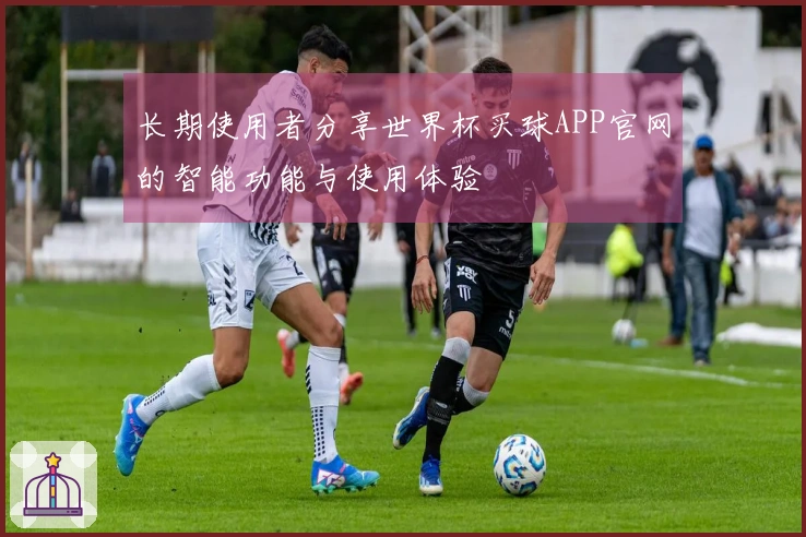 长期使用者分享世界杯买球APP官网的智能功能与使用体验