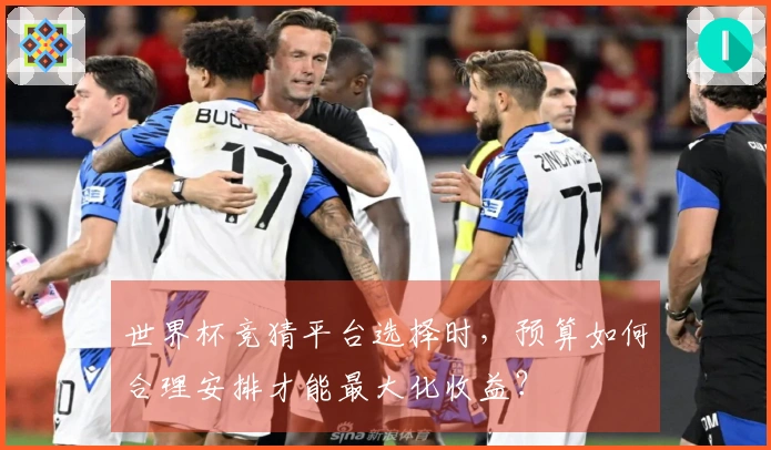 世界杯竞猜平台选择时，预算如何合理安排才能最大化收益？