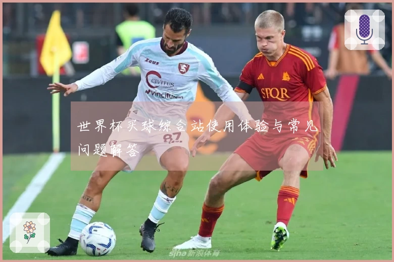 世界杯买球综合站使用体验与常见问题解答