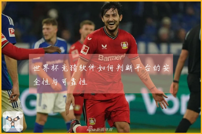 世界杯竞猜软件如何判断平台的安全性与可靠性