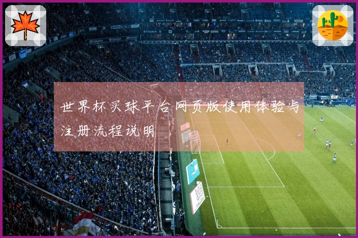 世界杯买球平台网页版使用体验与注册流程说明