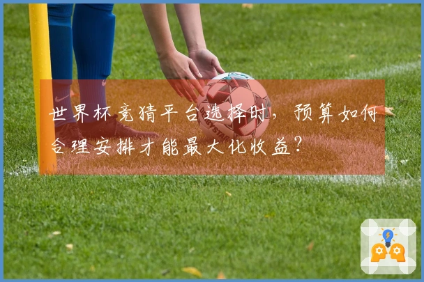 世界杯竞猜平台选择时，预算如何合理安排才能最大化收益？