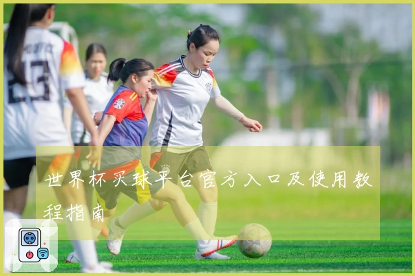世界杯买球平台官方入口及使用教程指南