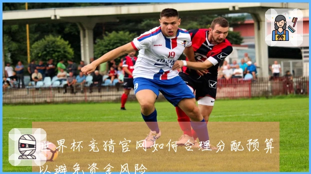 世界杯竞猜官网如何合理分配预算以避免资金风险